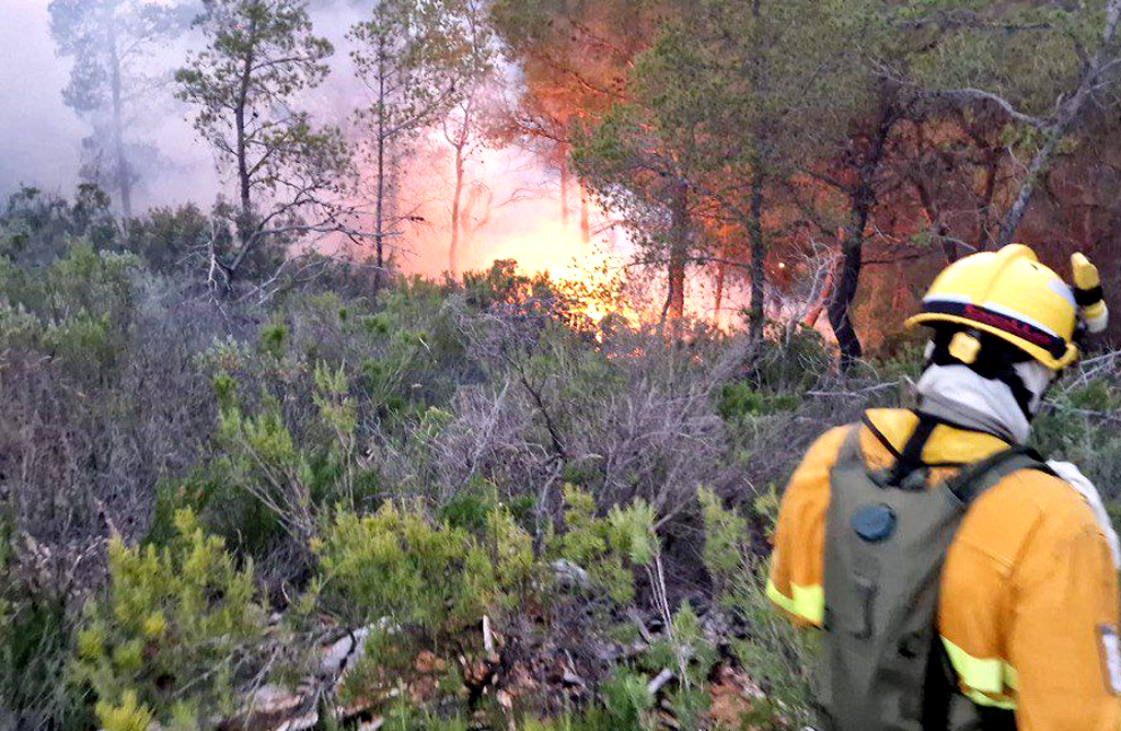 Los rayos provocaron 14 conatos de incendio forestal en varios puntos de la Regin de Murcia